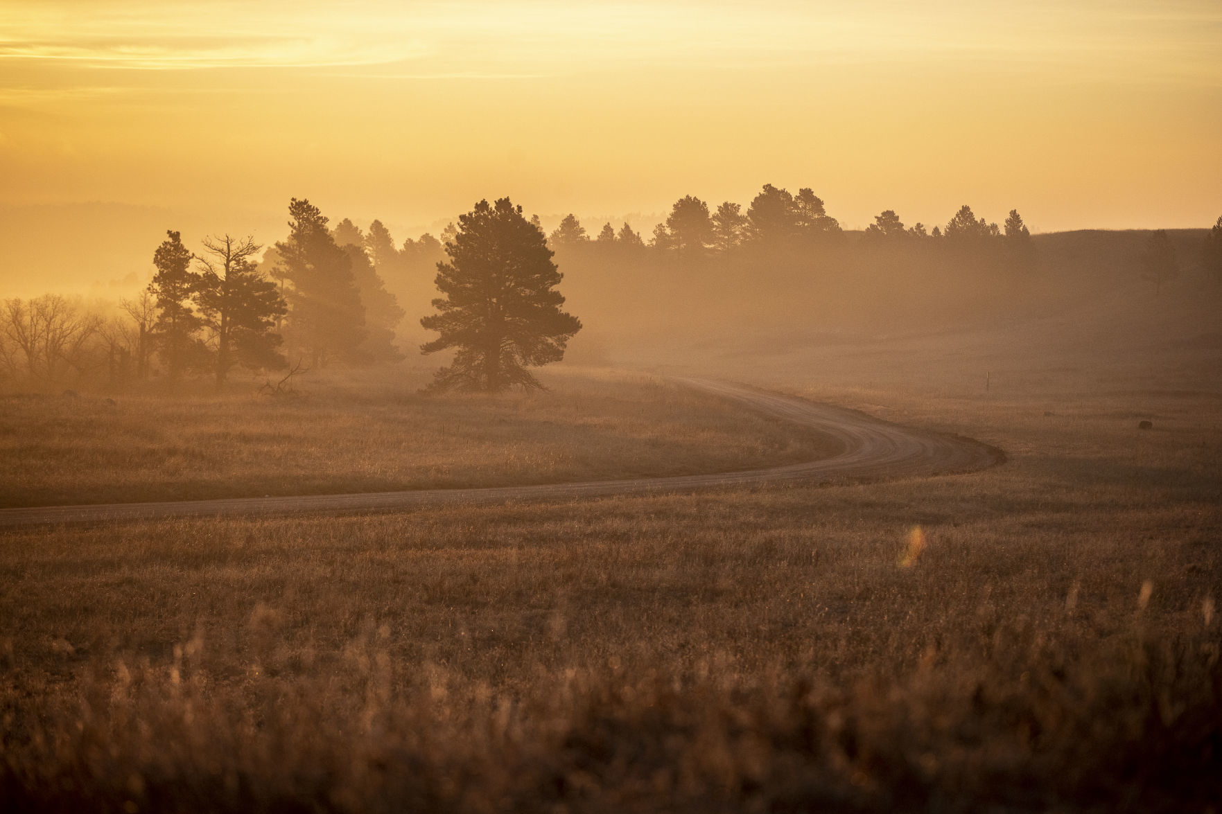 Custer State Park